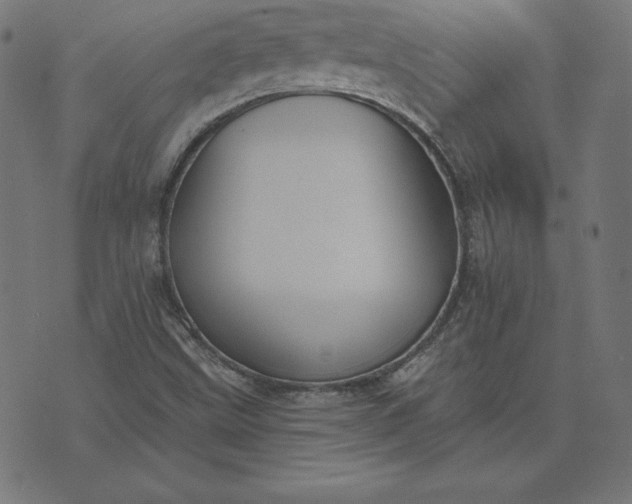 X0000073711499200608171125