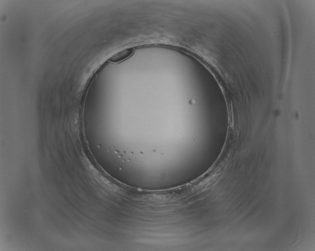 X0000073711500200608171125