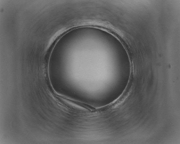 X0000073711501200608171125