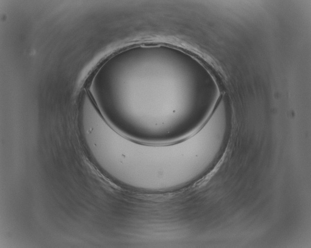 X0000073711502200608171125