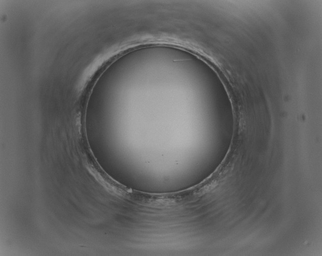 X0000073711503200608171125