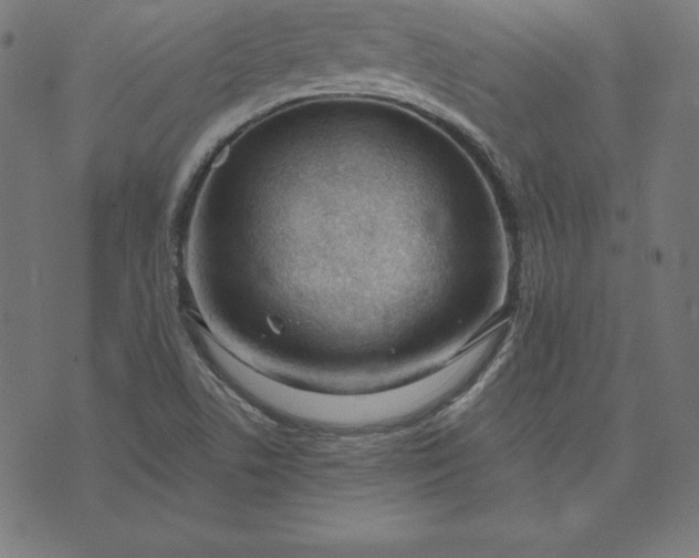 X0000073711506200608171125