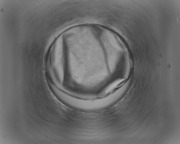 X0000073711508200608171125