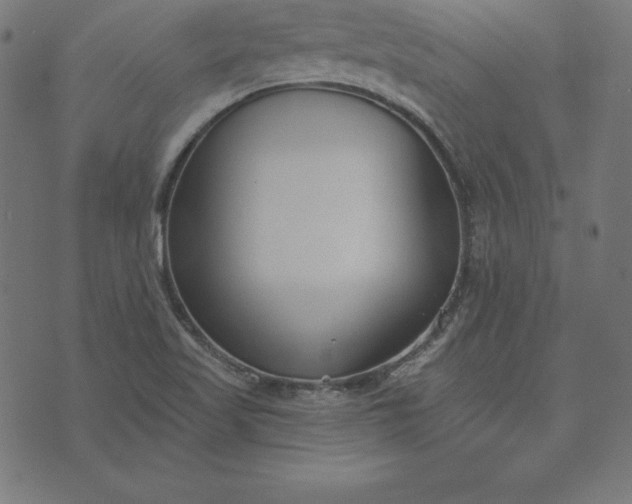 X0000073711509200608171125