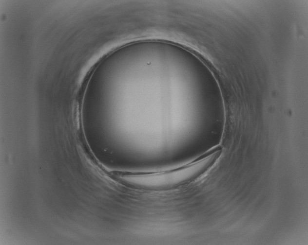 X0000073711510200608171125