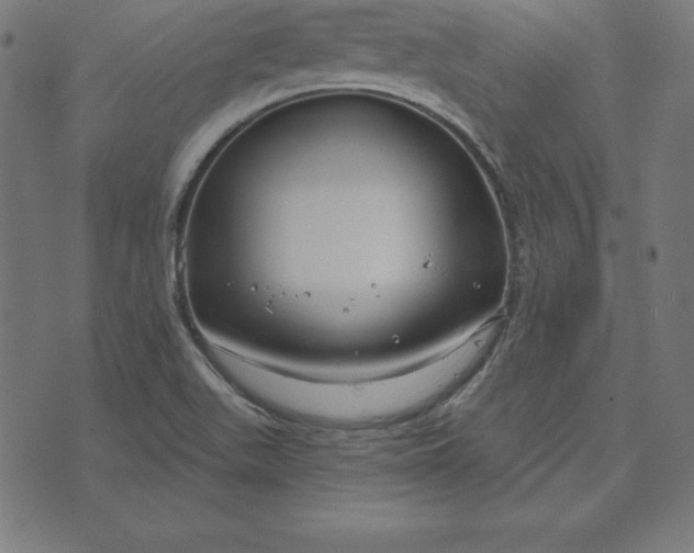 X0000073711511200608171125