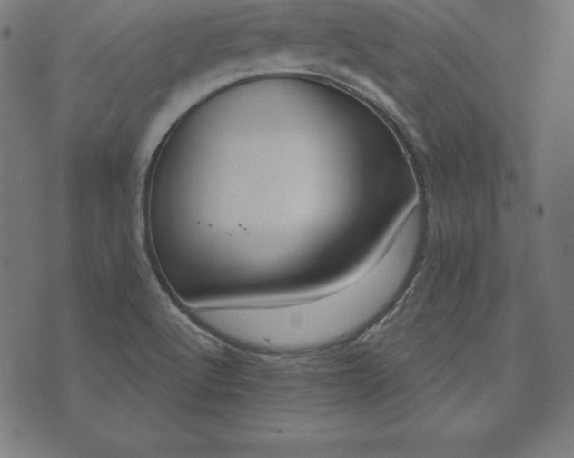 X0000073711512200608171125