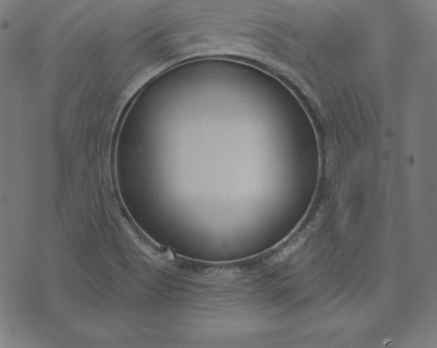 X0000073711513200608171125