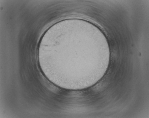 X0000073711514200608171125