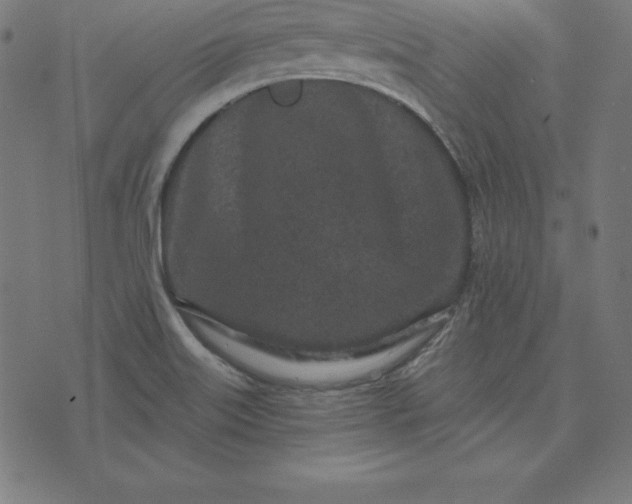 X0000073711515200608171125