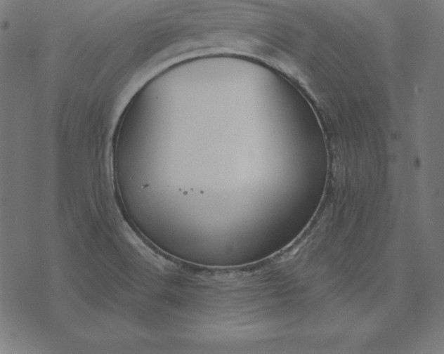 X0000073711516200608171125