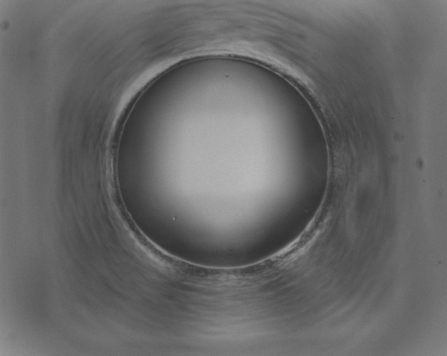 X0000073711517200608171125