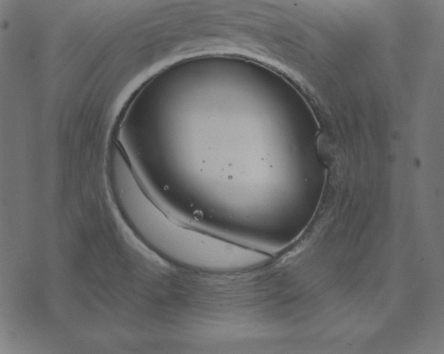 X0000073711518200608171125