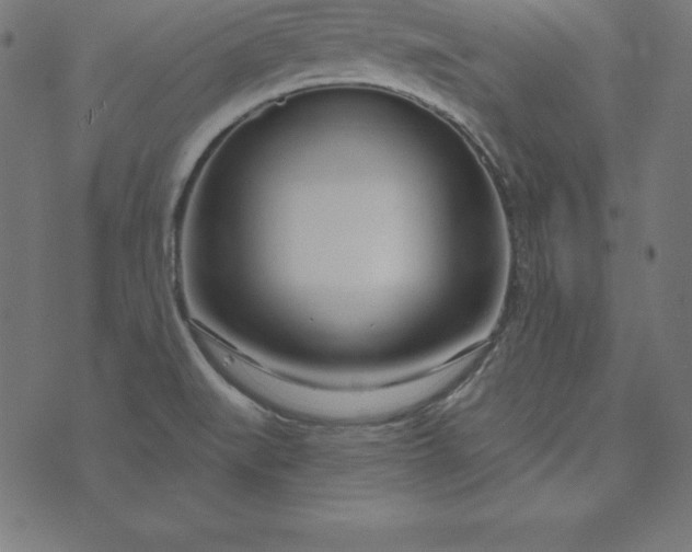 X0000073711519200608171125