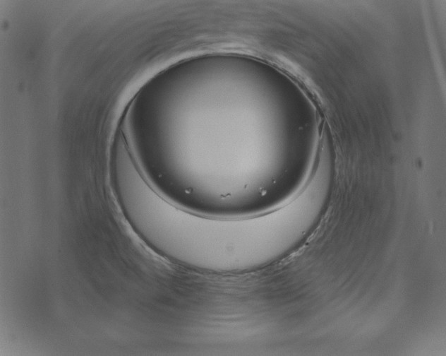 X0000073711520200608171125