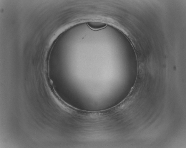 X0000073711523200608171125