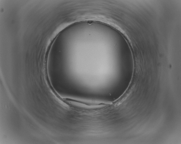 X0000073711525200608171125