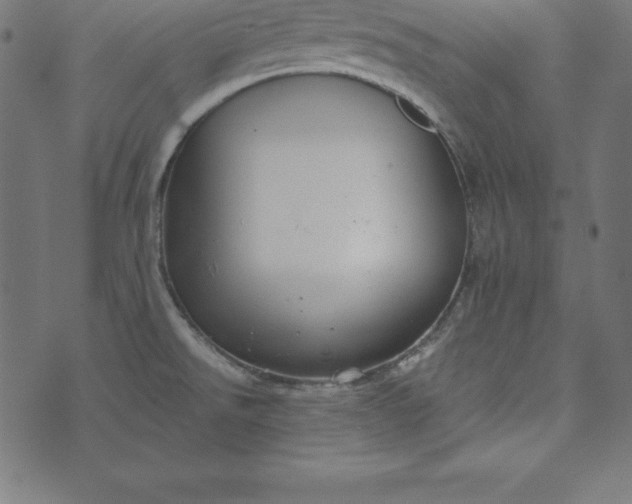 X0000073711526200608171125