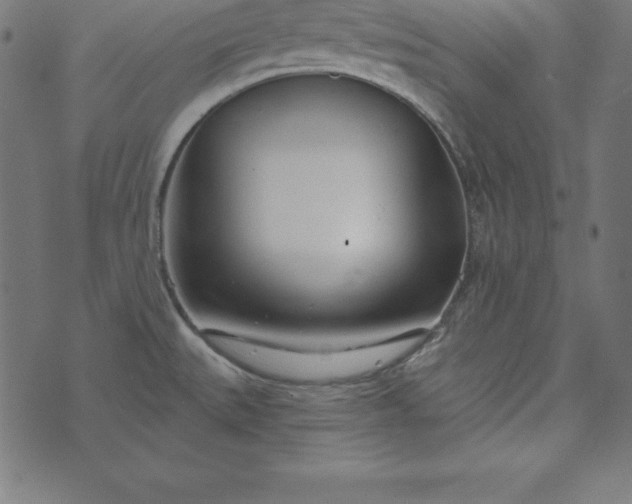 X0000073711527200608171125