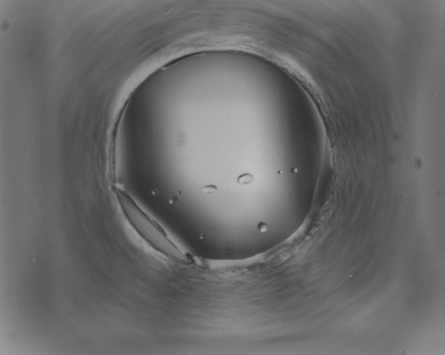 X0000073711528200608171125