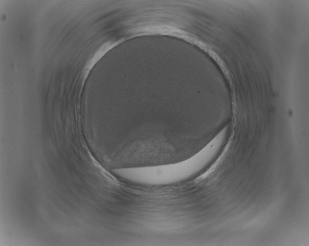 X0000073711529200608171125