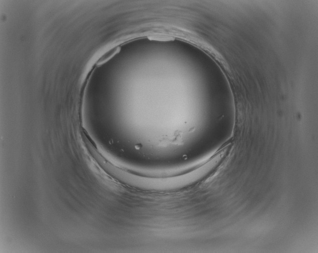 X0000073711530200608171125