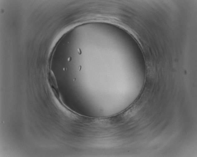 X0000073711531200608171125