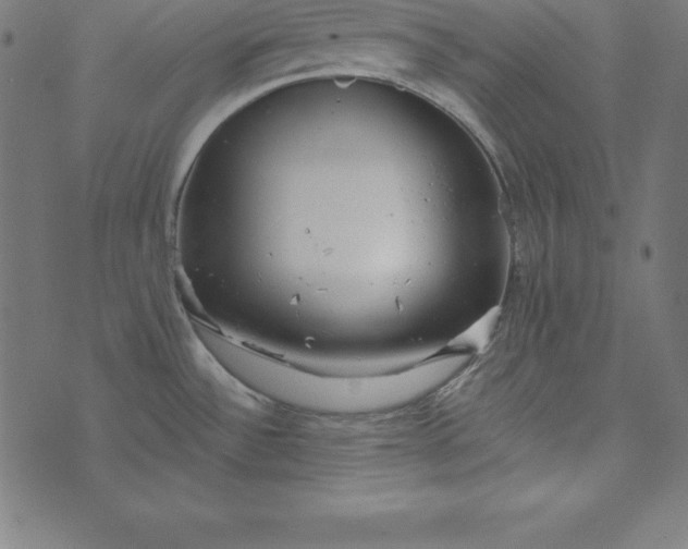 X0000073711532200608171125