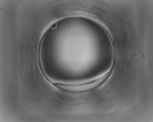 X0000073711533200608171125