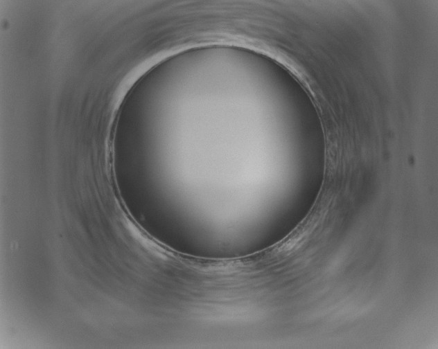 X0000073711535200608171125