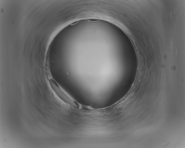 X0000073711536200608171125