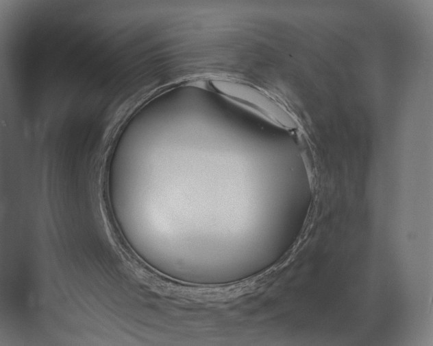 X0000073710001200608241455