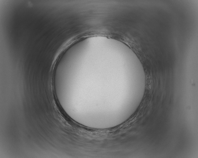 X0000073710004200608241455