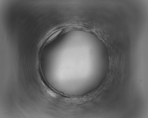 X0000073710005200608241455