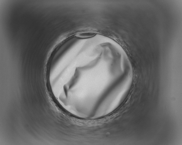 X0000073710006200608241455