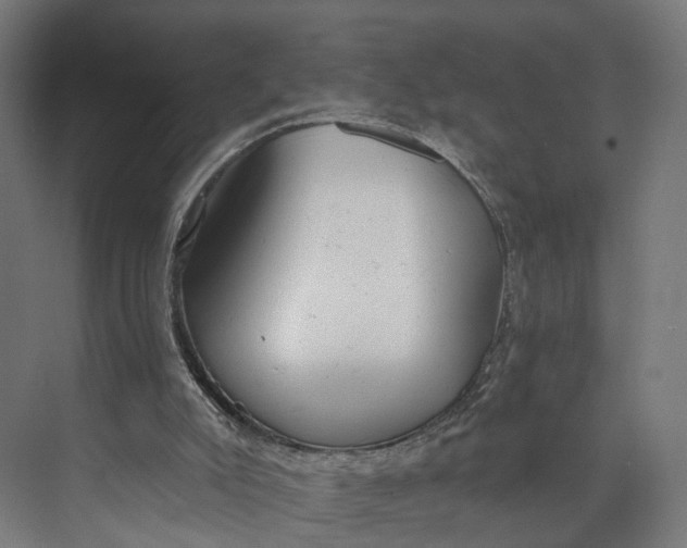 X0000073710007200608241455