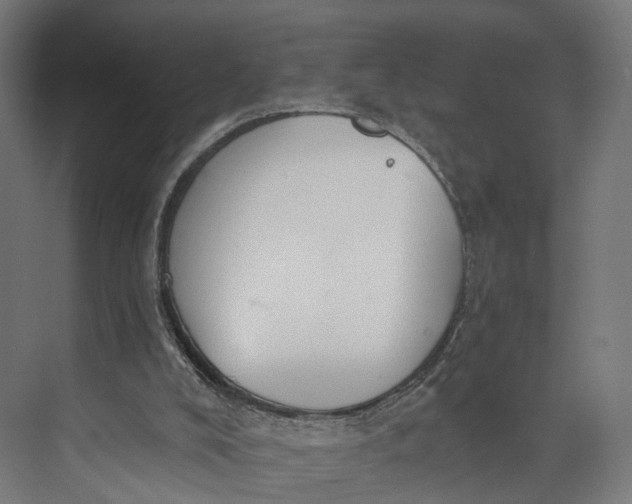 X0000073710008200608241455