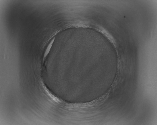 X0000073710009200608241455