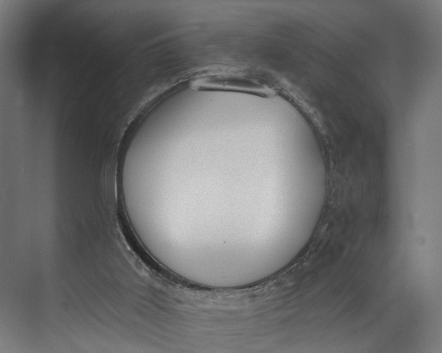 X0000073710011200608241455