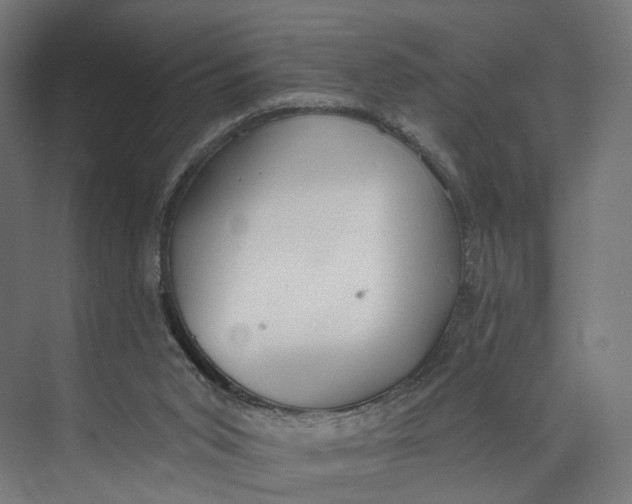 X0000073710015200608241455