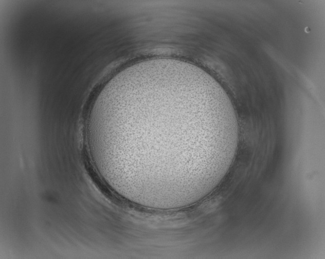 X0000073710016200608241455