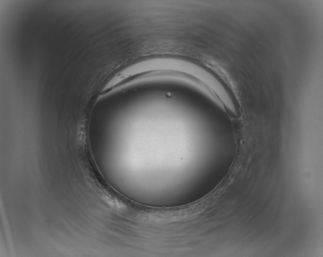 X0000073710017200608241455