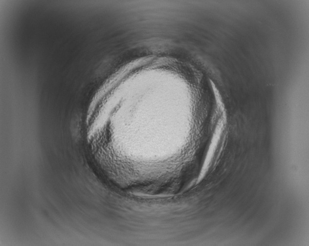 X0000073710018200608241455