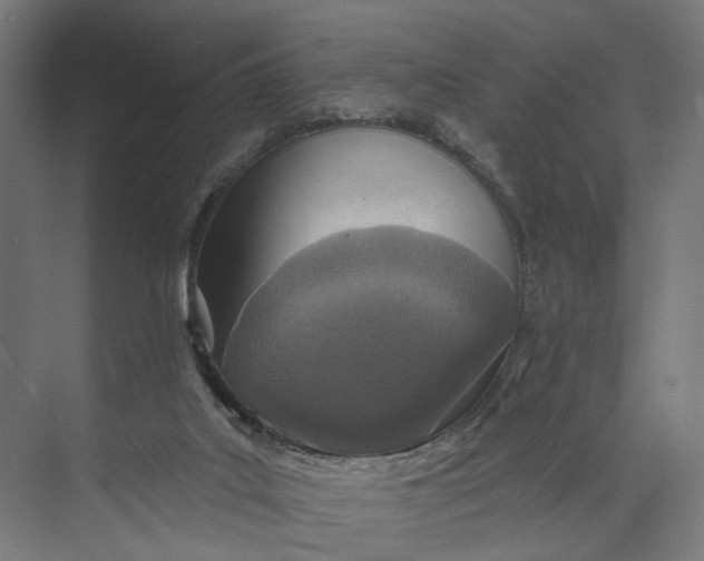 X0000073710019200608241455