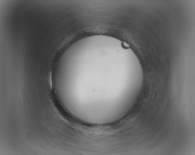 X0000073710020200608241455