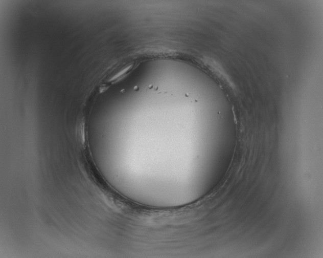 X0000073710021200608241455