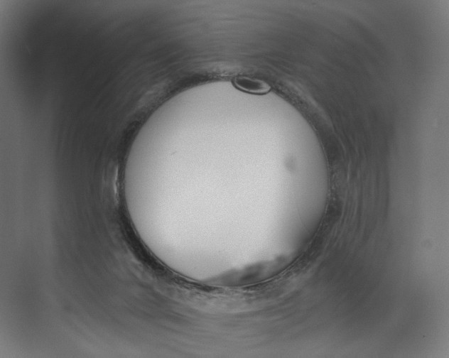 X0000073710024200608241454