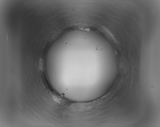 X0000073710025200608241454