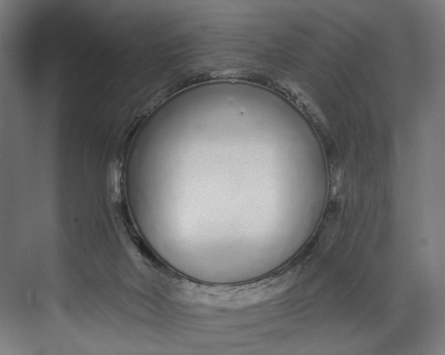 X0000073710026200608241454