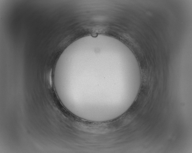 X0000073710028200608241454